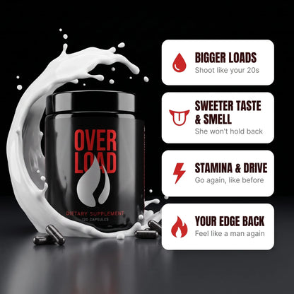 OverLoad 3