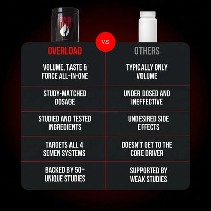OverLoad 3
